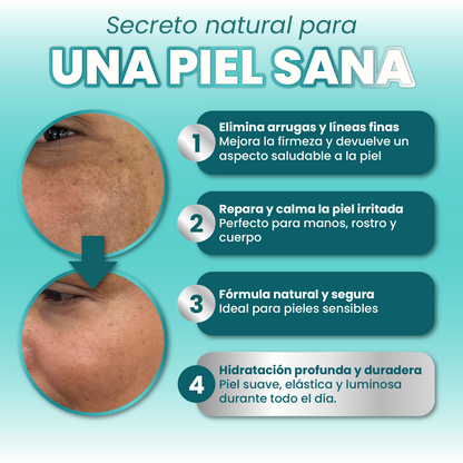 Sebo de Res - Evil Goods™️